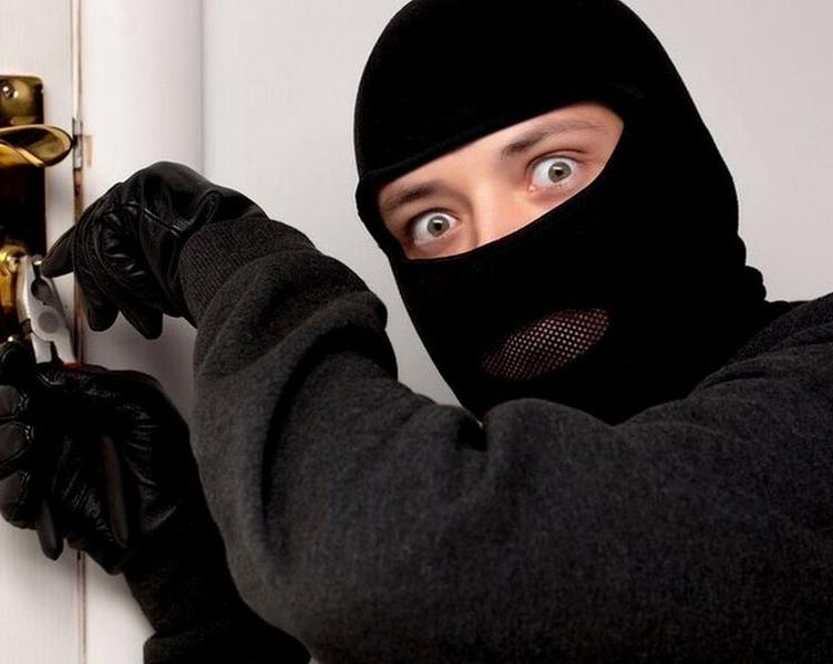 Как коллега сделал домашнюю сигнализацию из Nokia 2100, но её срабатывание привело к неожиданным последствиям